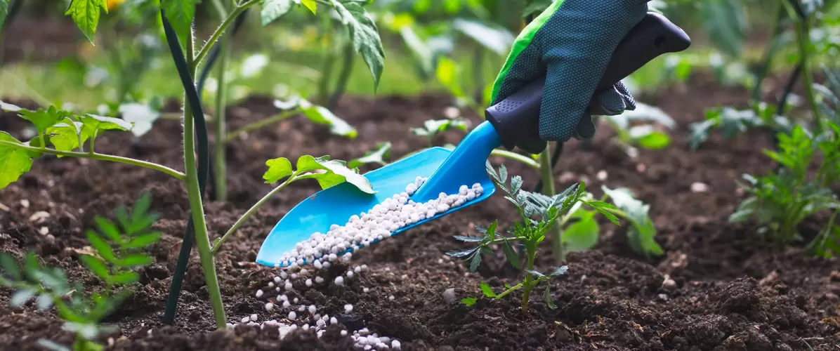 Grond- en meststoffen