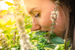 De kracht van aromatische kruiden in je tuin en keuken