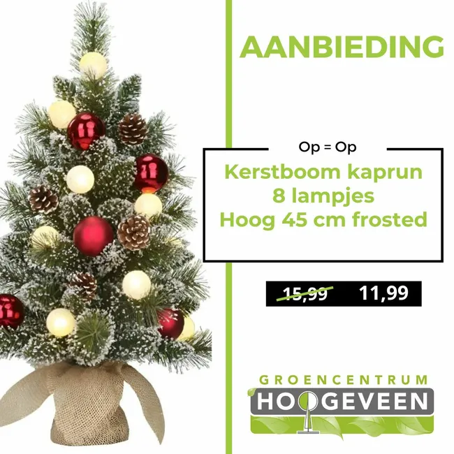 Kerstboom Kaprun