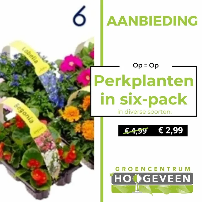 Perkplanten