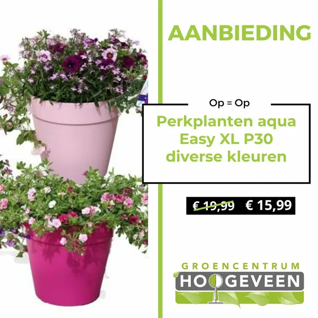 Perkplanten