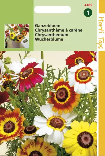 Chrysanthemum Carinatum Gemengd